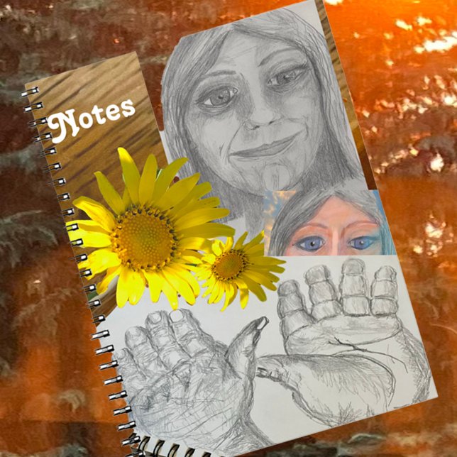 Notes for pleasant dialogs notebook (Creator Uploaded)