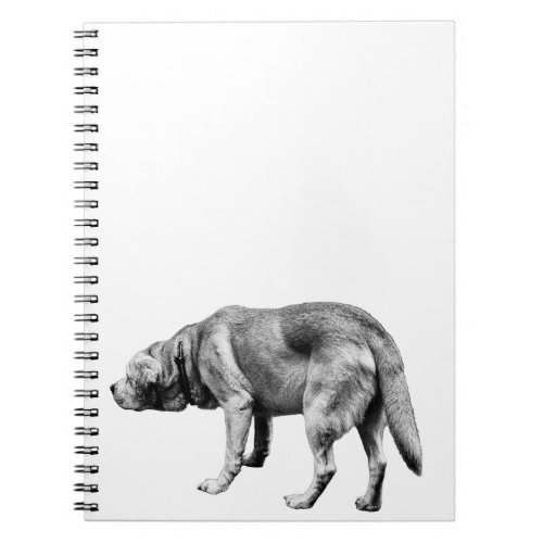 Notes from a Faithful Patrol Notebook