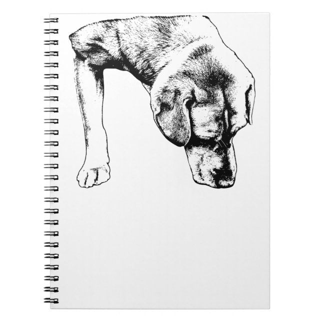 Notes From A Quiet Walk Notebook (Front)