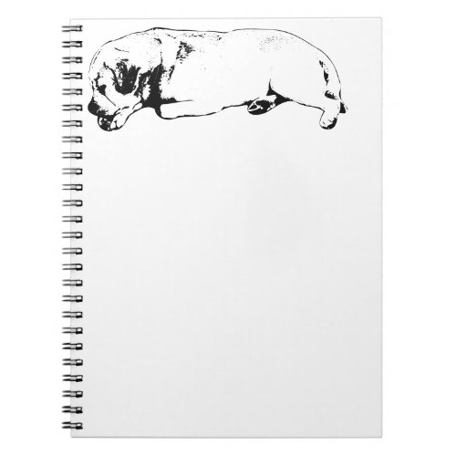 Notes From a Slow Afternoon Notebook