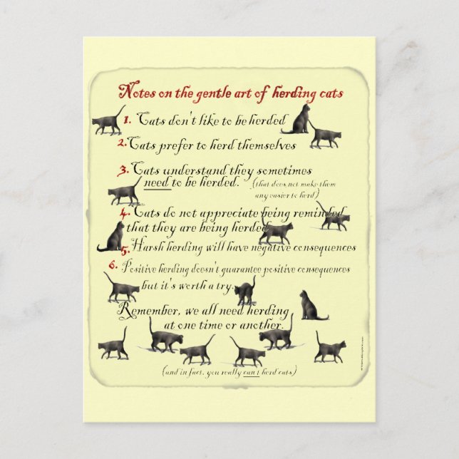 Notes on the Gentle Art of Herding Cats (Front)