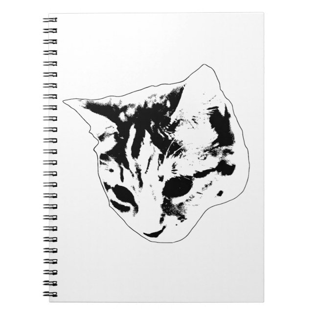 Notes Under Watchful Eyes Notebook (Front)