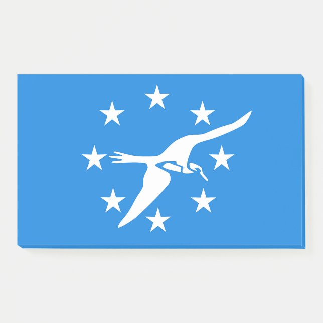 Notes with flag of Corpus Christi, USA (Front)