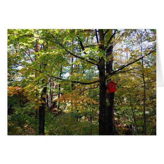 Nothern Orntario autumn forest Cards (Front Horizontal)