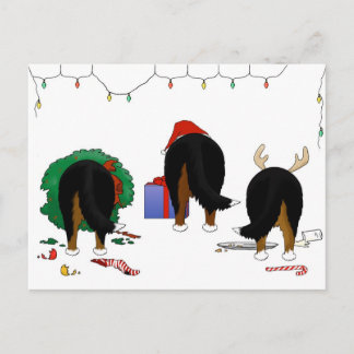 Nothin' Butt A Berner Christmas Holiday Postcard