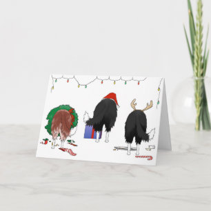 Nothin' Butt A Border Collie Christmas Holiday Card