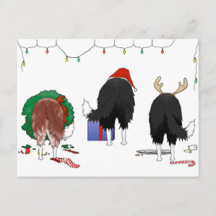 Nothin' Butt A Border Collie Christmas Holiday Postcard
