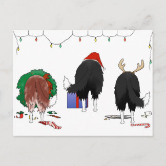 Nothin' Butt A Border Collie Christmas Holiday Postcard