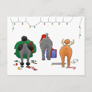 Nothin' Butt A Poodle Christmas Holiday Postcard
