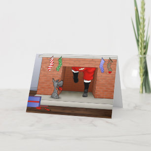 Nothin' Butt A Schnauzer Christmas Holiday Card