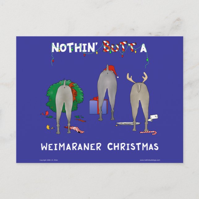 Nothin' Butt A Weimaraner Christmas Holiday Postcard (Front)