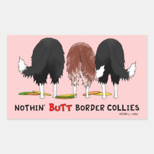Nothin' Butt Border Collies Rectangular Sticker