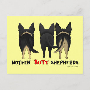 Nothin' Butt Shepherds Postcard