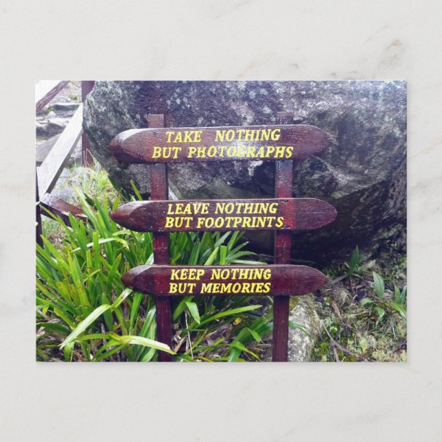 nothing but footprints postcard (Front)