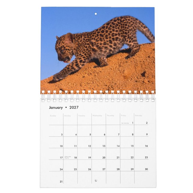 Nothing but Leopards - 2012 Calendar (Jan 2027)