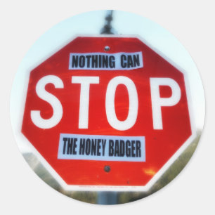 Nothing Can STOP th Honey Badger Classic Round Sticker