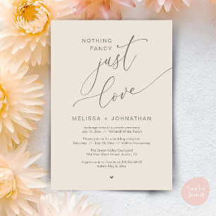 Nothing Fancy, Just Love, Wedding Reception Party Invitation