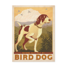 Nothing Gets Past My Bird Dog