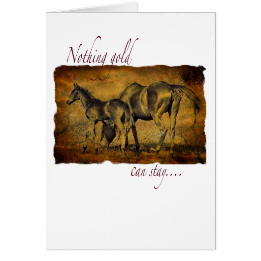 Nothing Gold Can Stay (Front)