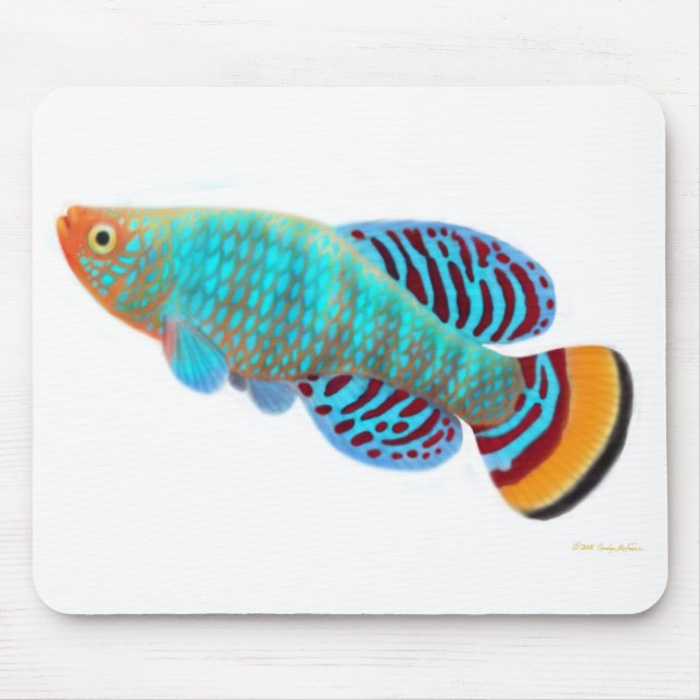 Nothobranchius Rachovii Killifish Mousepad (Front)