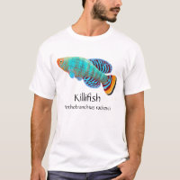 Nothobranchius Rachovii Killifish