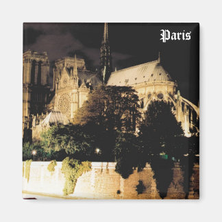 Notre Dame at night. Paris, France. Magnet