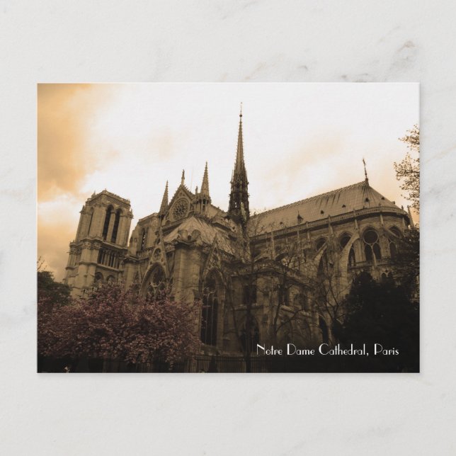 Notre Dame Cathedral Postcard (Front)