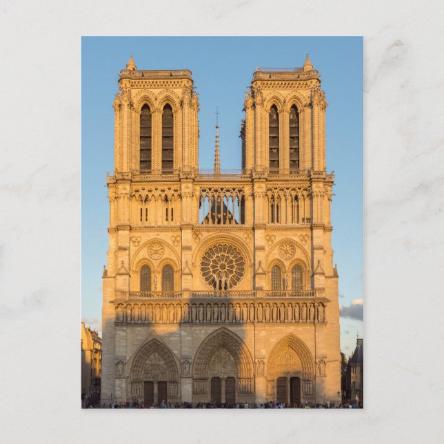 Notre Dame de Paris at Golden Hour - Paris, France Postcard (Front)