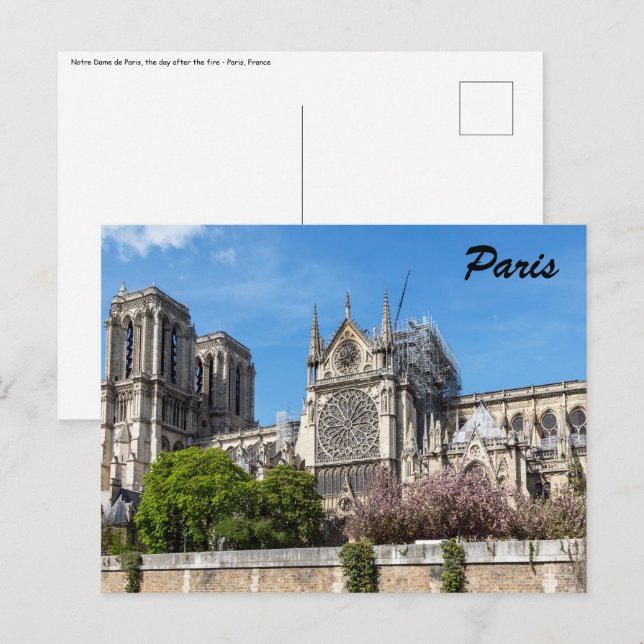 Notre Dame de Paris, the day after 2019 fire Postcard (Front/Back)