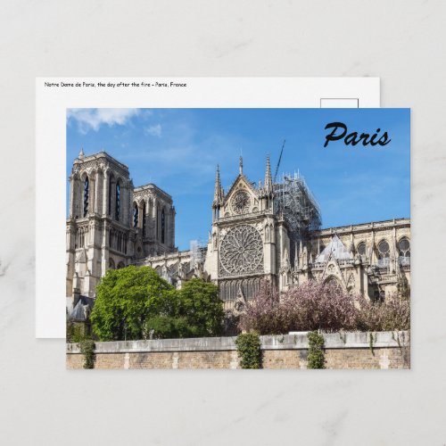 Notre Dame de Paris the day after 2019 fire Postcard