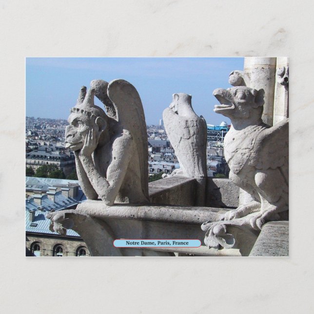 Notre Dame, Paris, France Postcard (Front)