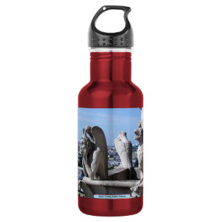 Notre Dame, Paris, France Stainless Steel Water Bottle