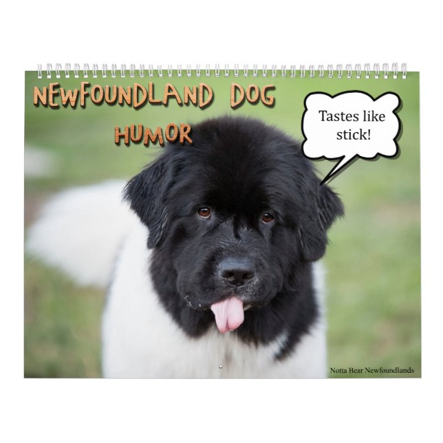Notta Bear Newfoundlands Humor Calendar (Cover)
