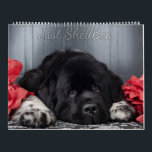 Notta Bear Newfoundlands ShellBea Calendar<br><div class="desc">Beautiful imagery of ShellBea the landseer Newfoundland dog.</div>