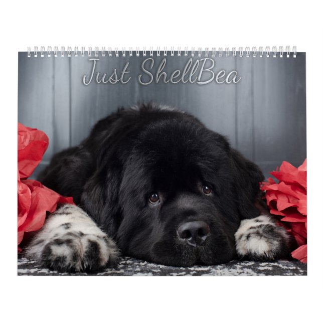 Notta Bear Newfoundlands ShellBea Calendar (Cover)