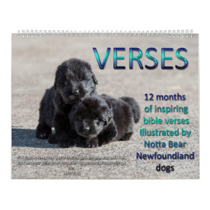 Notta Bear Newfoundlands Verses Calendar