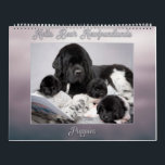 Notta Bear Newfoundlands Year of Puppies Calendar<br><div class="desc">Is there anything cuter then a Newfoundland puppy? A whole year of newfie cuteness.</div>