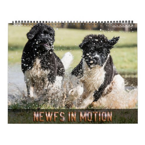 Notta Bear Newfs In Motion Calendar