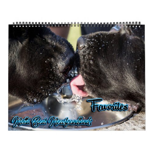 Notta Bear Photo Favorites Calendar