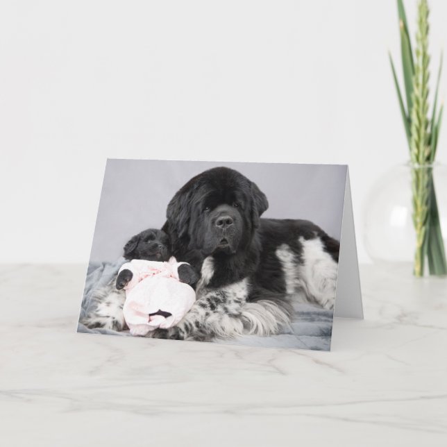 Notta Bear Welcome Card (Front)