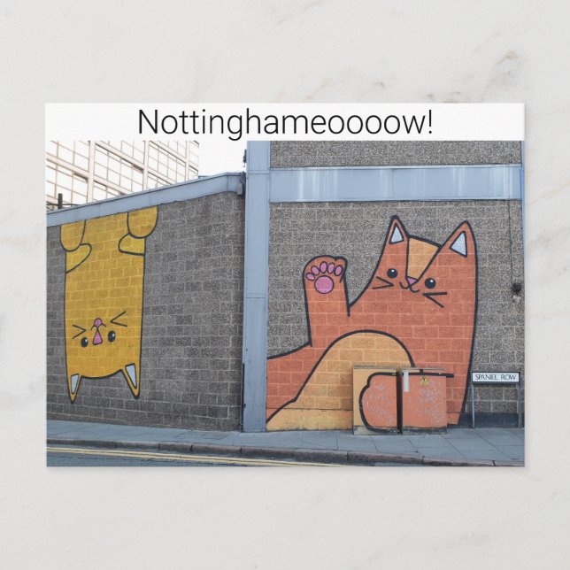 Nottingham Cats Postcard (Front)