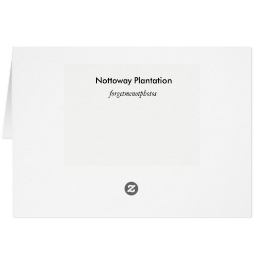 Nottoway Plantation (Back Horizontal)