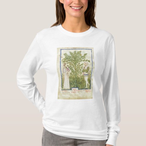 Nouv Acq Lat Celery from Tacuinum Sanitatis T_Shirt