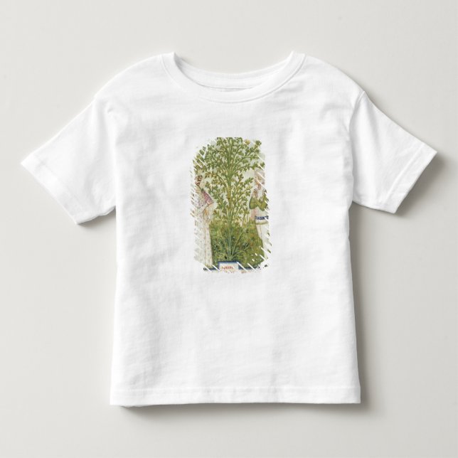Nouv Acq Lat Celery, from 'Tacuinum Sanitatis' Toddler T-shirt (Front)