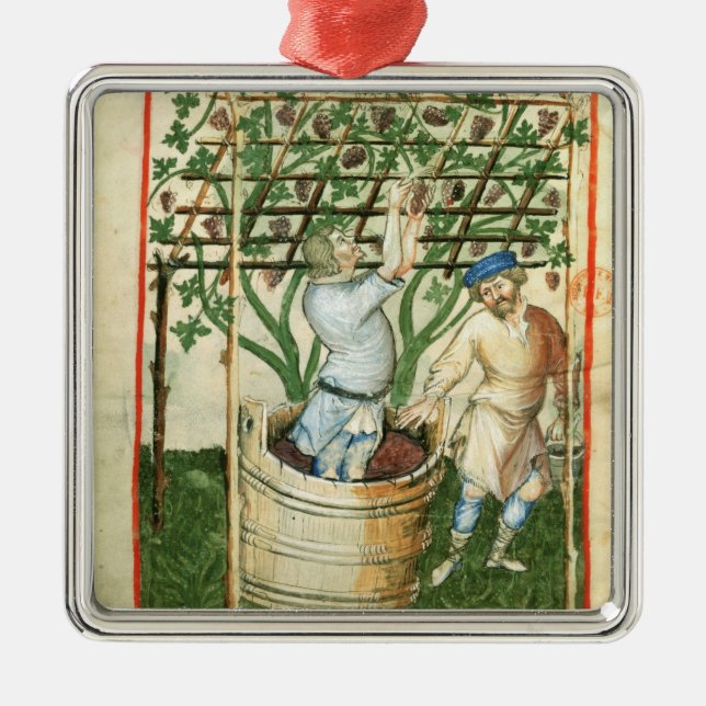 Nouv Acq Lat Gathering and pressing grapes Metal Ornament (Front)
