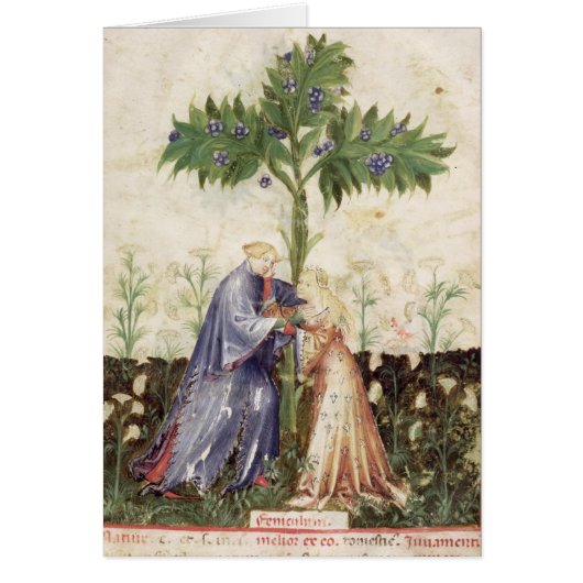 Nouv Acq LatFennel, from 'Tacuinum Sanitatis' Cards (Front)