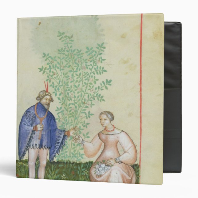 Nouv Acq LatRoses, from 'Tacuinum Sanitatis' Binder (Front/Inside)