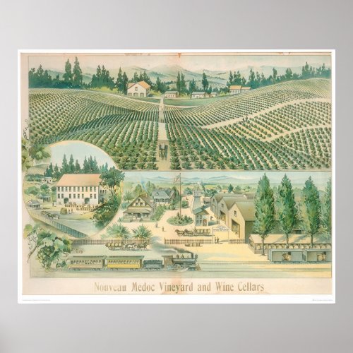 Nouveau Medoc Vineyard and Wine Cellars 1213A Poster