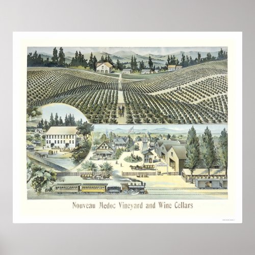 Nouveau Medoc Vineyard and Wine Cellars Poster