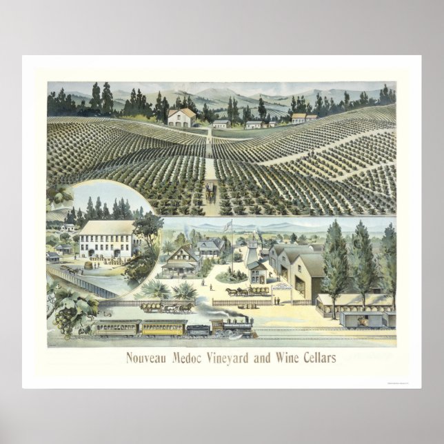 Nouveau Medoc Vineyard and Wine Cellars Poster (Front)
